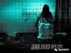 娱乐吃瓜酱鬼屋给钱,揭秘神秘鬼屋背后的惊悚故事与神秘财富